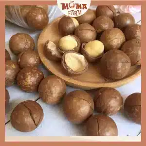 vn 11134207 7ra0g m7x6s9g22ruq02