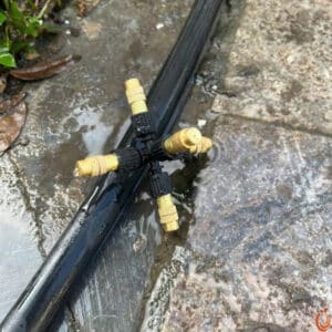Béc Đồng Phun Sương 5 Cửa