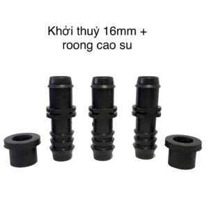 khởi thủy