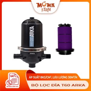 B--L-C-ÐIA-T60-ARKA