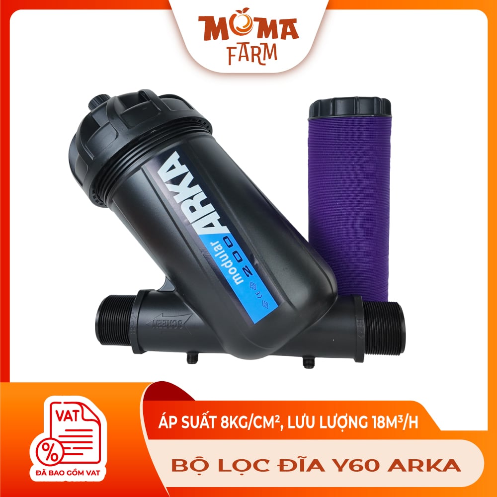 B--L-C-ÐIA-Y60-ARKA