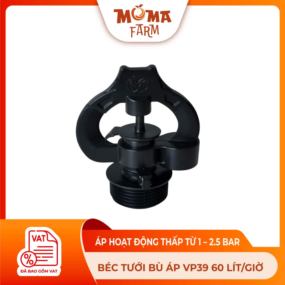 BÉC-TU-I-BÙ-ÁP-VP39-60-LÍT