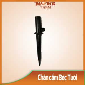 Chân Cắm Béc Tưới