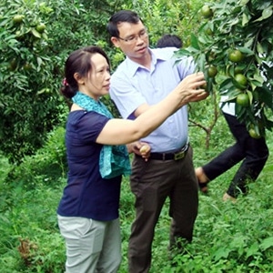 Đồng hành cùng nông dân