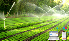 Hệ thống tưới tiêu nông nghiệp tự động thông minh