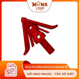 M--NEO-NH-A-–-T-C-KÊ-Ð-T