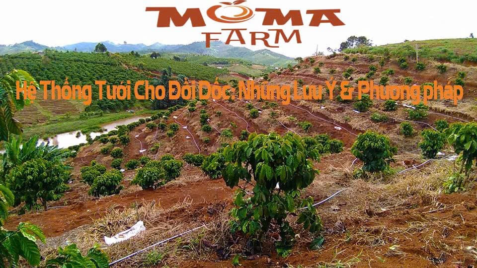 Hệ Thống Tưới Cho Đồi Dốc