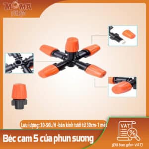 Béc Cam 5 Cửa Phun Sương