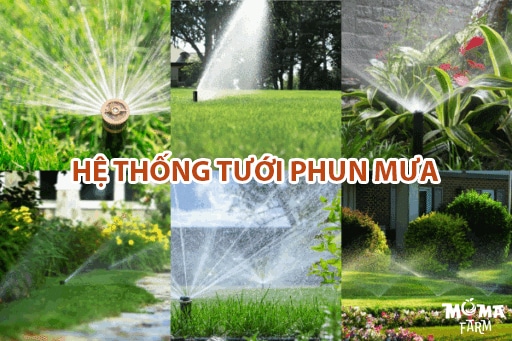 Hệ Thống Tưới Cho Đất Bằng Phẳng