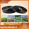 Ống tưới phun mưa