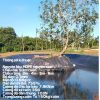 Bạt chống thấm HDPE 0.3mm