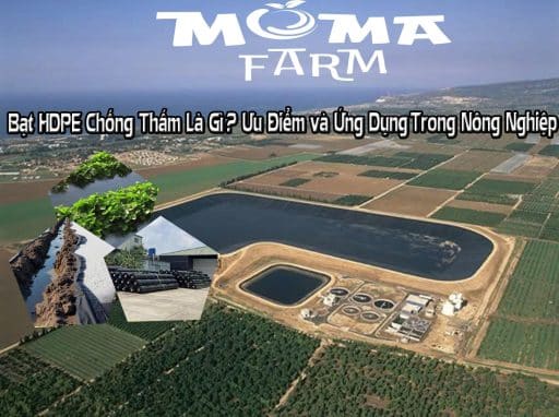 Bạt HDPE Chống Thấm