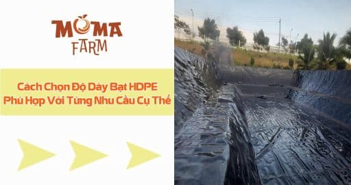 Cách Chọn Độ Dày Bạt LDPE Phù Hợp