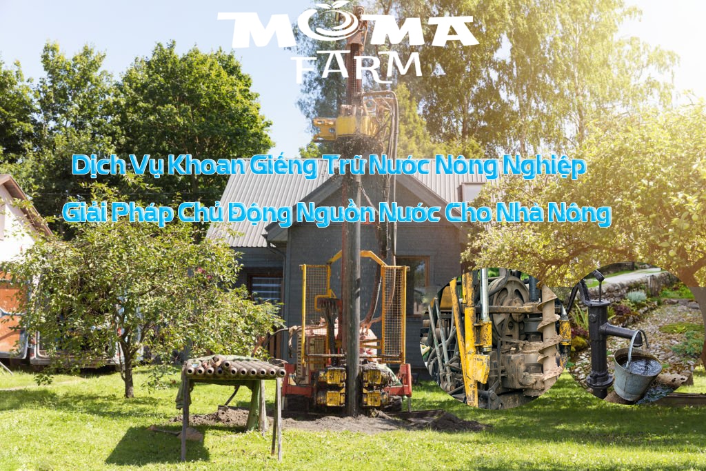 Dịch Vụ Khoan Giếng Trữ Nước