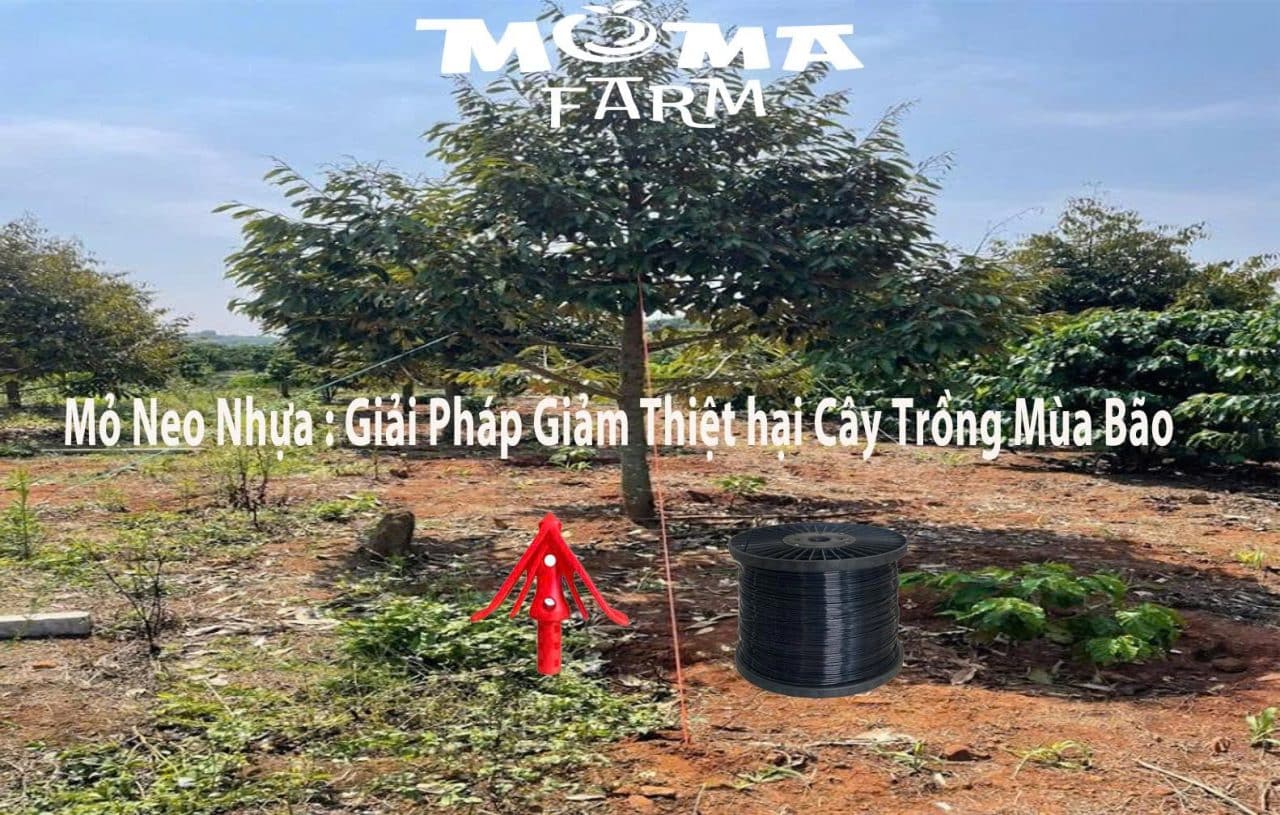 Mỏ neo nhưa
