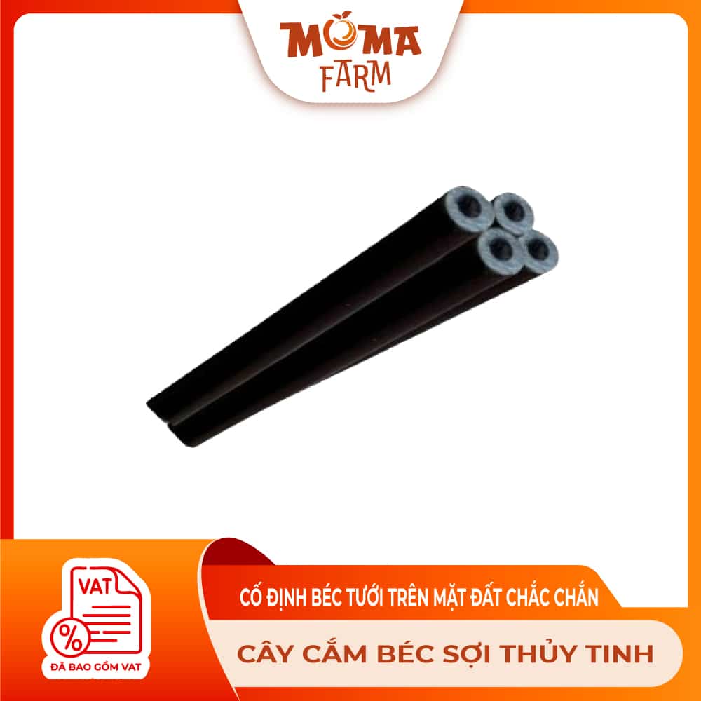 CÂY-C-M-BÉC-S-I-TH-Y-TINH