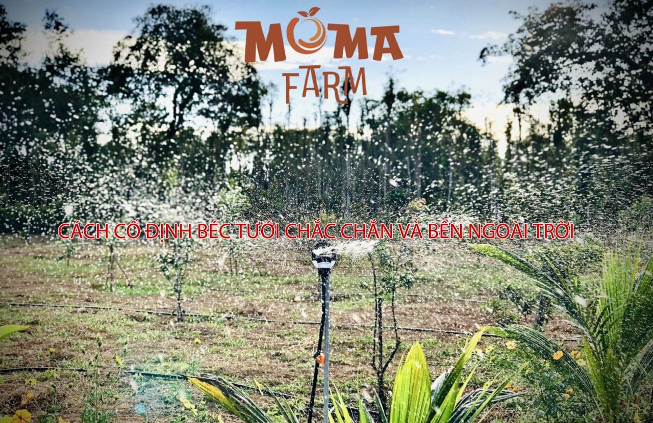 Cách Cố Định Béc Tưới Chắc Chắn Và Bền Ngoài Trời