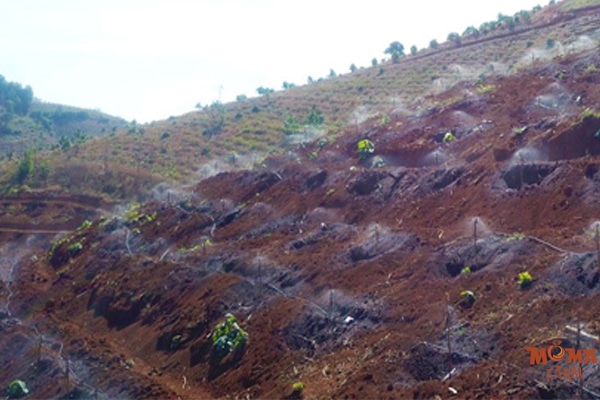 Cach Co Dinh Bec Tuoi Chac Chan Va Ben Ngoai Troi3