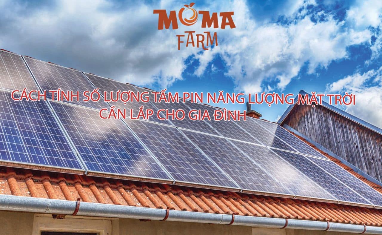 Cách Tính Số Lượng Tấm Pin Năng Lượng Mặt Trời Cần Lắp Cho Gia Đình