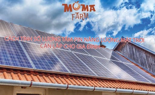 Cách Tính Số Lượng Tấm Pin Năng Lượng Mặt Trời Cần Lắp Cho Gia Đình