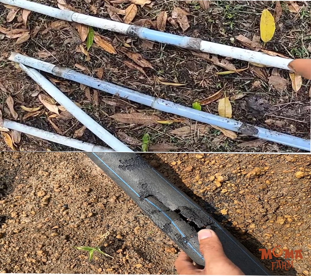 Can Trong Khi Chon He Thong Tuoi Gia Re5