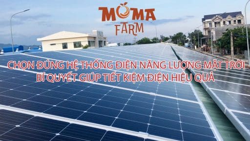 HỆ THỐNG ĐIỆN NĂNG LƯỢNG MẶT TRỜI
