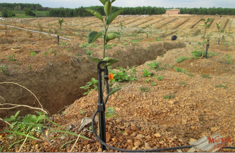 Do Keo Dai Cua Duong Ong Nhanh LDPE 25 3