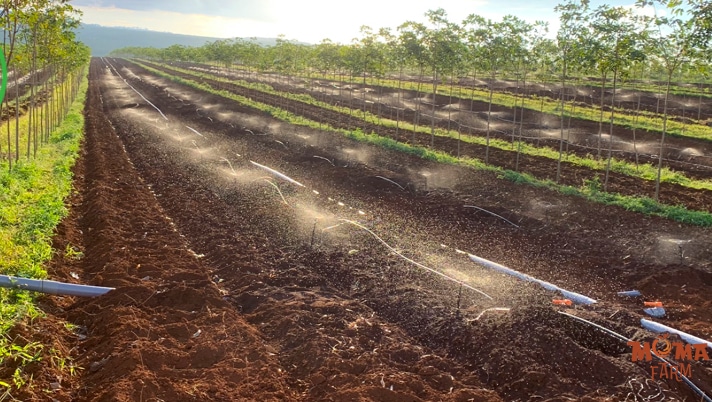 Do Keo Dai Cua Duong Ong Nhanh LDPE 25 4