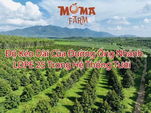 Độ Kéo Dài Của Đường Ống Nhánh LDPE 25