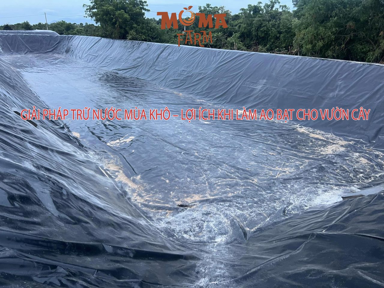 Giải Pháp Trữ Nước Mùa Khô – Lợi Ích Khi Làm Ao Bạt Cho Vườn Cây