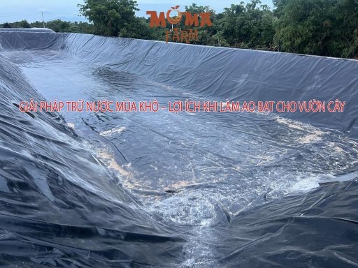 Giải Pháp Trữ Nước Mùa Khô – Lợi Ích Khi Làm Ao Bạt Cho Vườn Cây