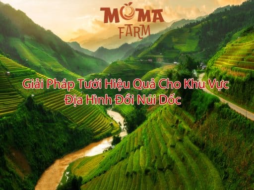 Giải Pháp Tưới Hiệu Quả Cho Khu Vực Địa Hình Đồi Núi Dốc