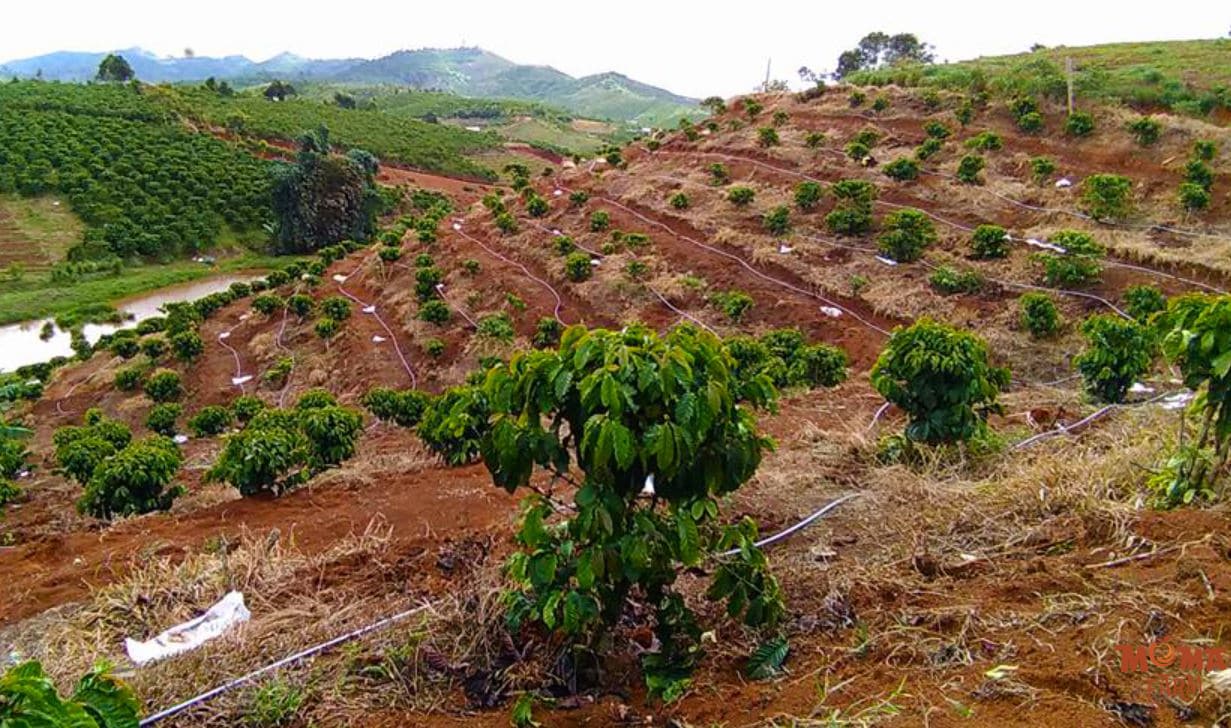 Giai Phap Tuoi Hieu Qua Cho Khu Vuc Dia Hinh Doi Nui Doc2