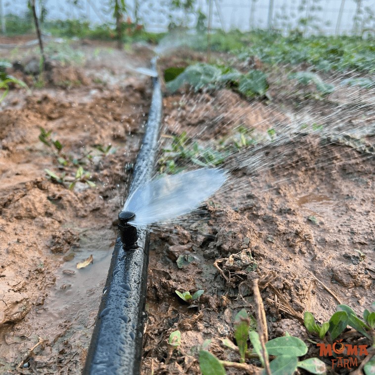 Giai Phap Tuoi Tiet Kiem Voi Ong Xep Khong Duc Lo1