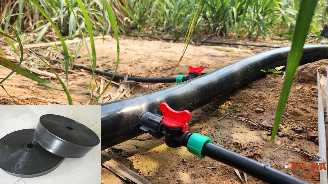 Giai Phap Tuoi Tiet Kiem Voi Ong Xep Khong Duc Lo2