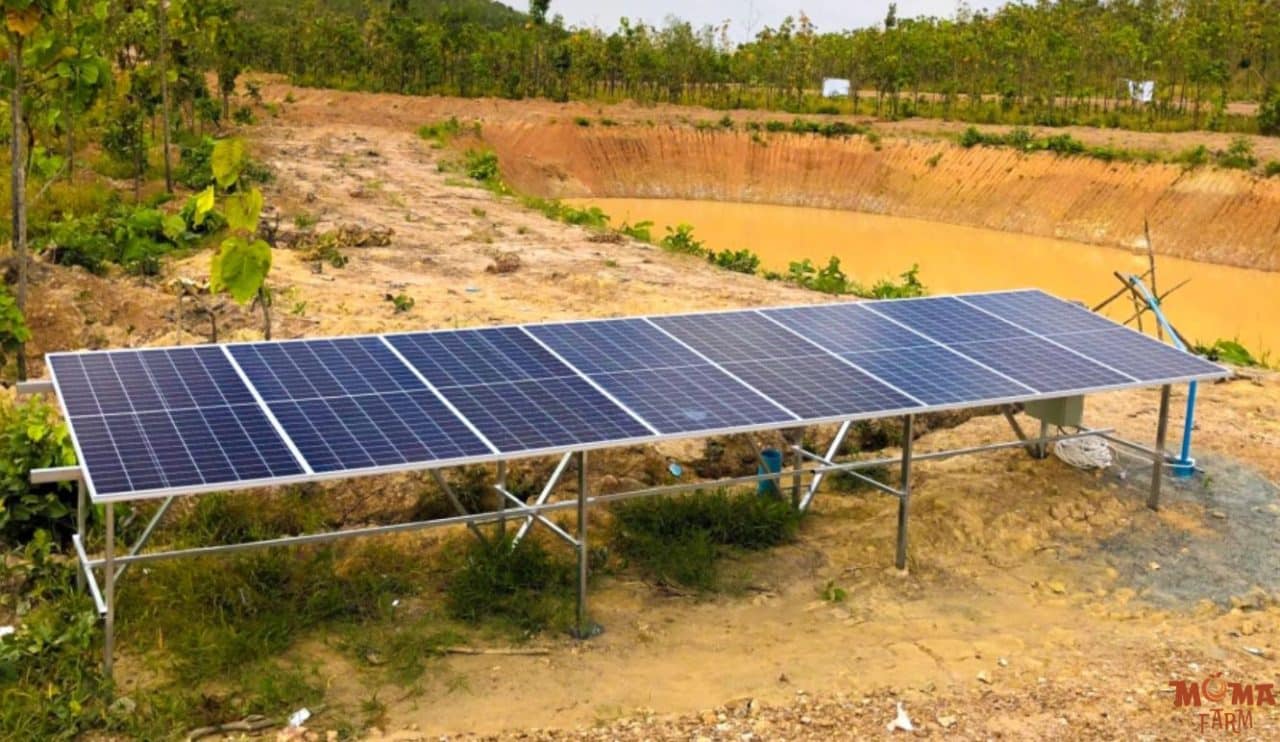 Giai Phap Tuoi Tu Dong Bang Nang Luong Mat Troi 1