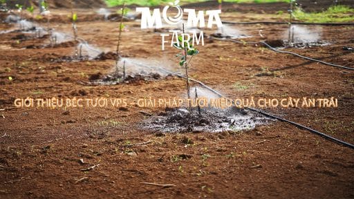 Giới Thiệu Béc Tưới VP5