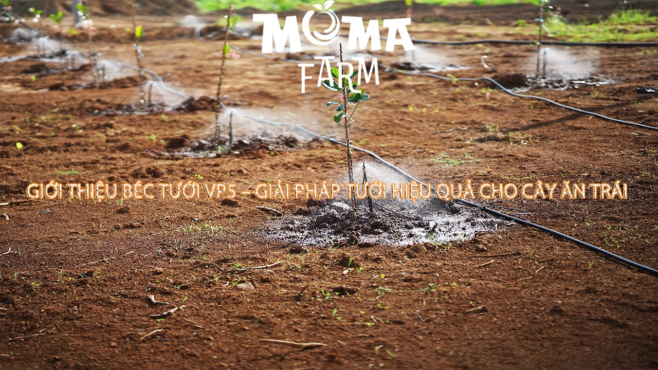 Giới Thiệu Béc Tưới VP5