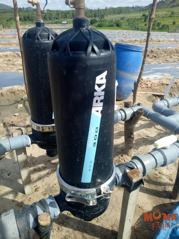 He Thong Tuoi Bec Hoan Chinh Cho Vuon Cay5