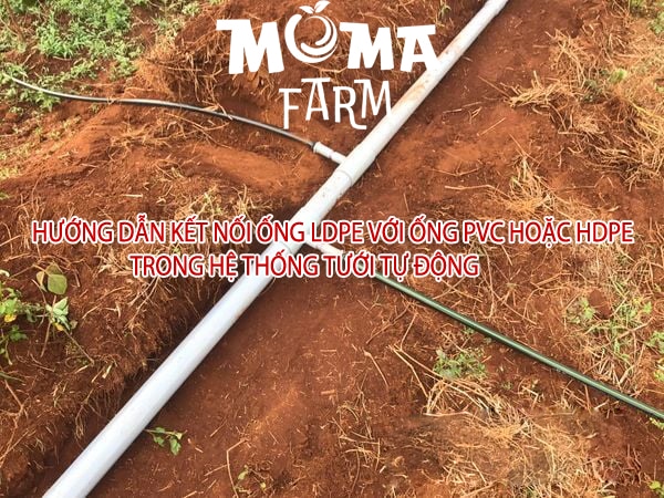 Hướng Dẫn Kết Nối Ống LDPE Với Ống PVC Hoặc HDPE
