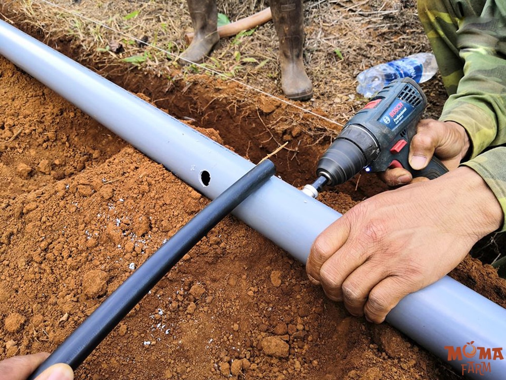 Huong Dan Ket Noi Ong LDPE Voi Ong PVC Hoac HDPE2