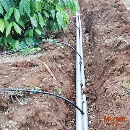 Huong Dan Ket Noi Ong LDPE Voi Ong PVC Hoac HDPE3