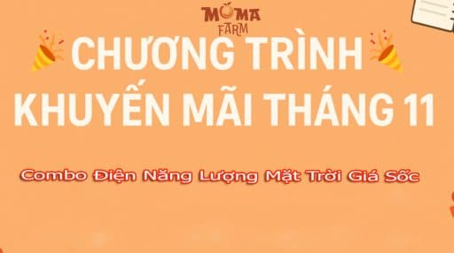 Khuyến Mãi Đặc Biệt Trong Tháng 11