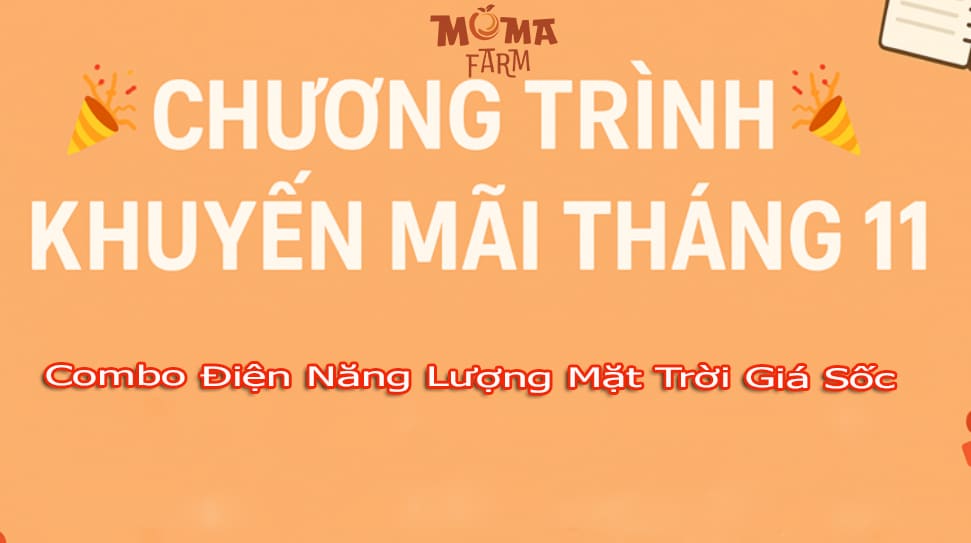 Khuyến Mãi Đặc Biệt Trong Tháng 11