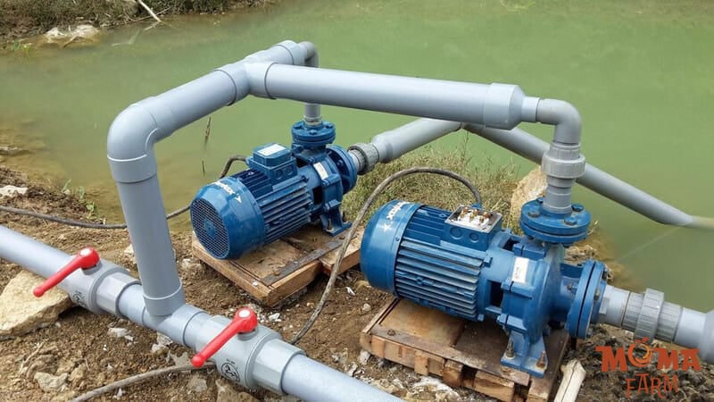 Kinh Nghiem Lap He Thong Tuoi De Nuoc Manh Phun Deu Cho Cay Trong 2