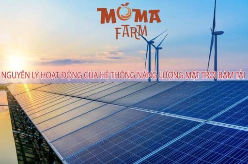 Nguyên Lý Hoạt Động Của Hệ Thống Năng Lượng Mặt Trời Bám Tải