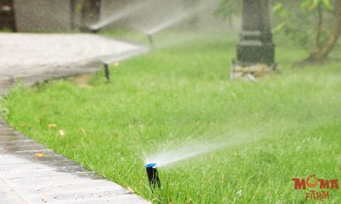 Nhung Luu Y Quan Trong Khi Su Dung Bec Tuoi Pop up Cho San Vuon1