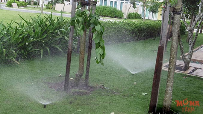 Bec Bo Pop up Bec Tuoi Tu Dong Cho Canh Quan 2