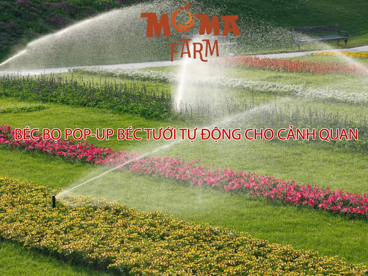 Béc Bọ Pop-up Béc Tưới Tự Động Cho Cảnh Quan