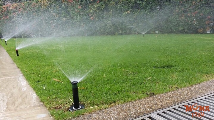 Bec Bo Pop up Bec Tuoi Tu Dong Cho Canh Quan 4 1